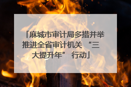 麻城市审计局多措并举推进全省审计机关 “三大提升年” 行动
